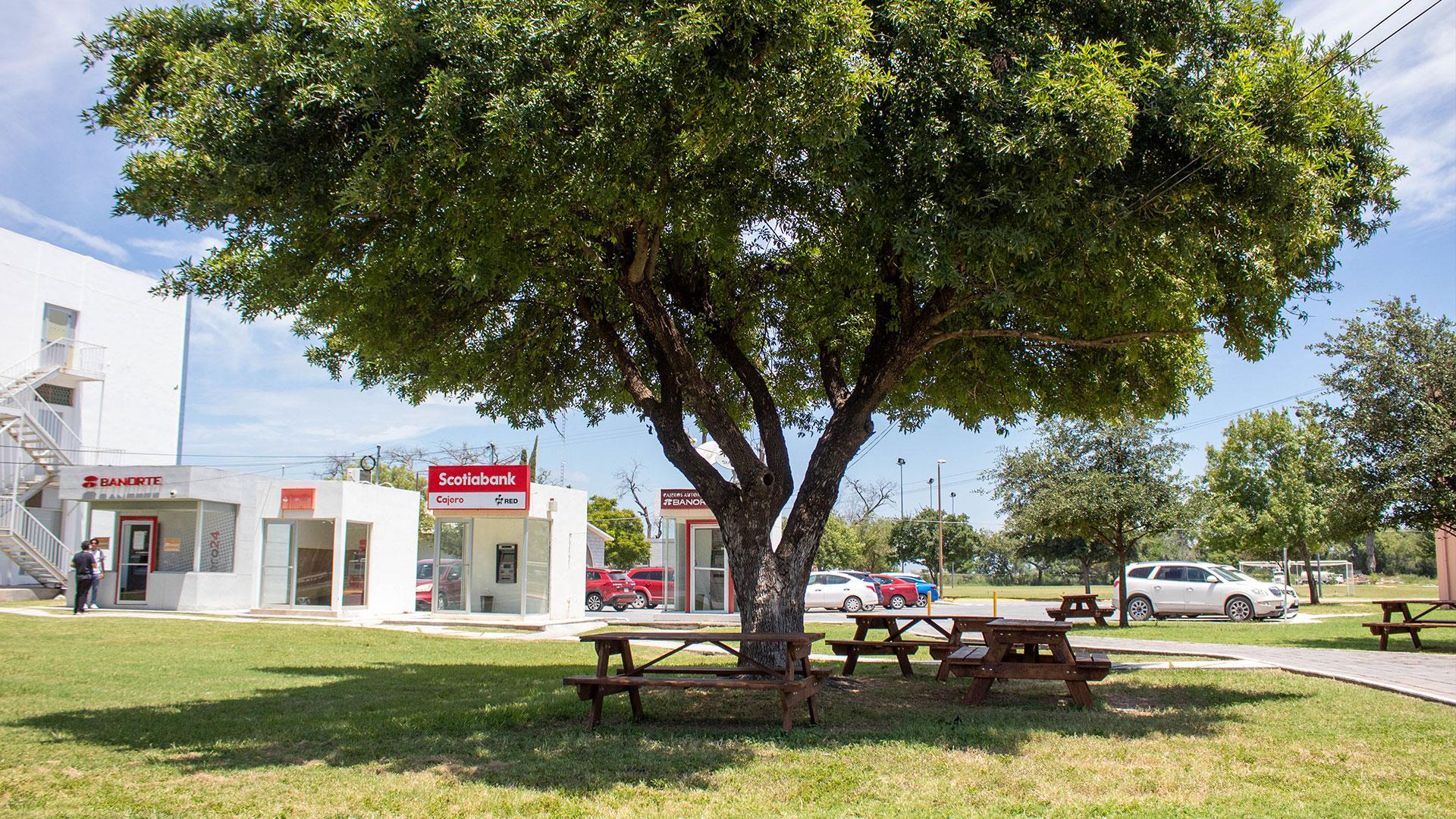 Enfrente de los cajeros