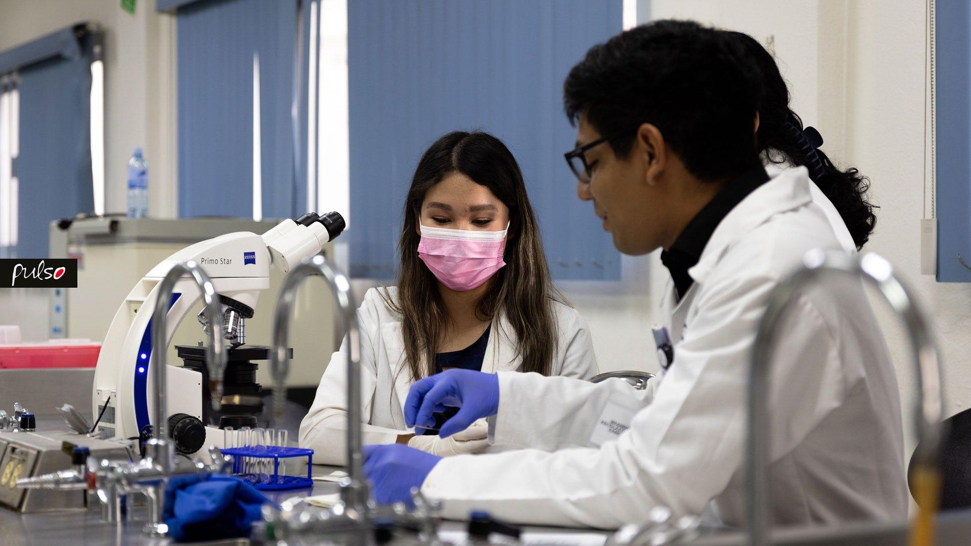 Los especialistas resaltaron la importancia de que los químicos clínicos perfeccionen sus habilidades en el análisis microscópico. Fotografía por: Universidad de Montemorelos / Sebastián Sasso.