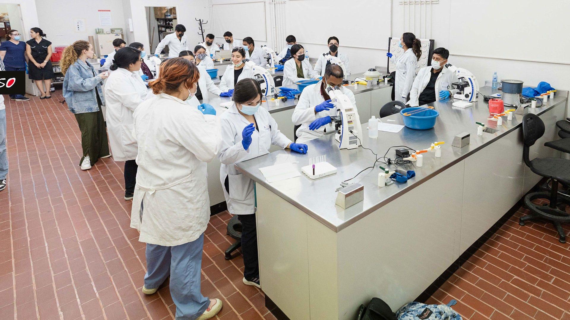 Parásitos al microscopio: el reto vigente de la salud pública