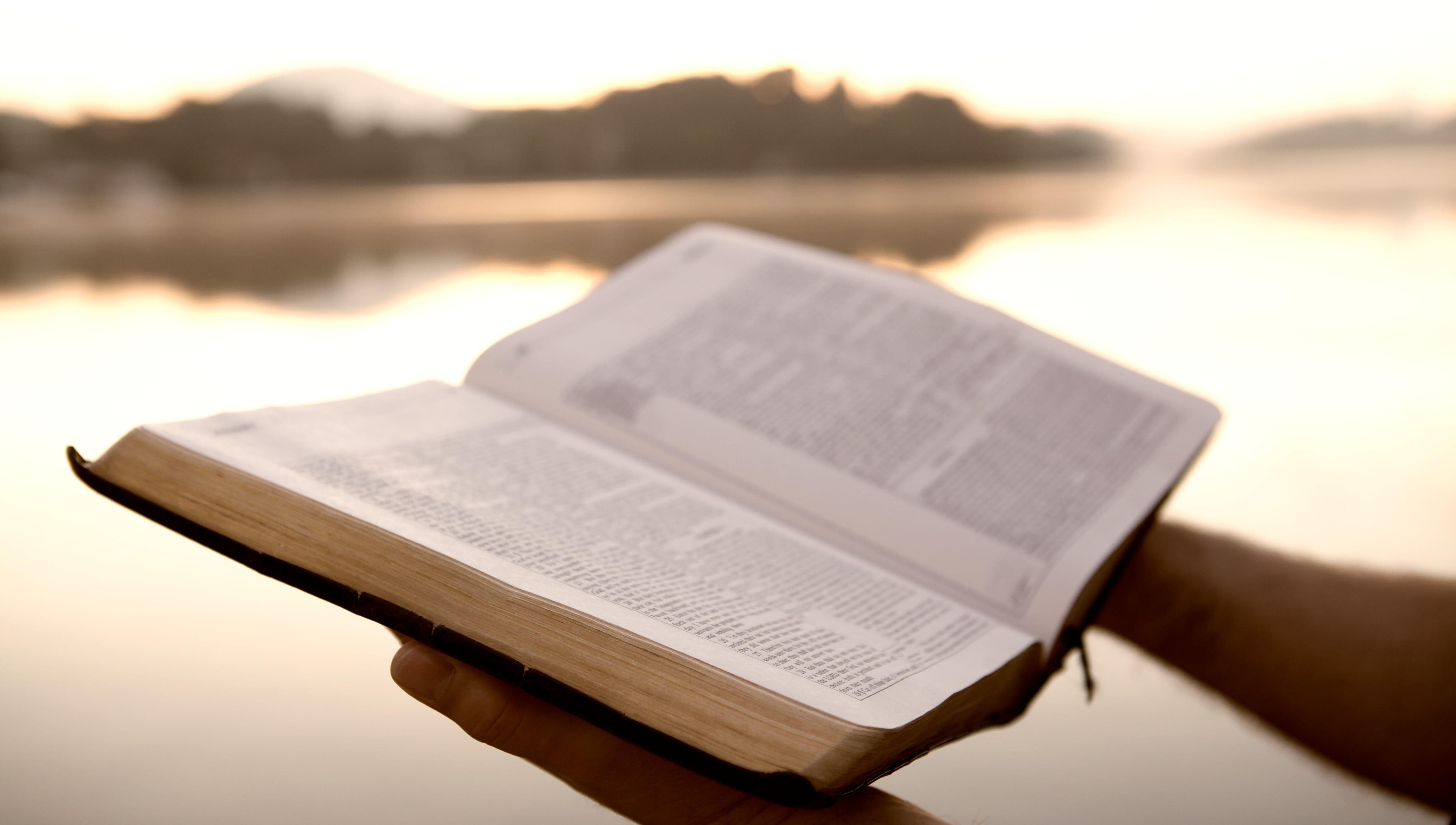 Salmo 1: Cómo elegir el camino correcto según la Biblia