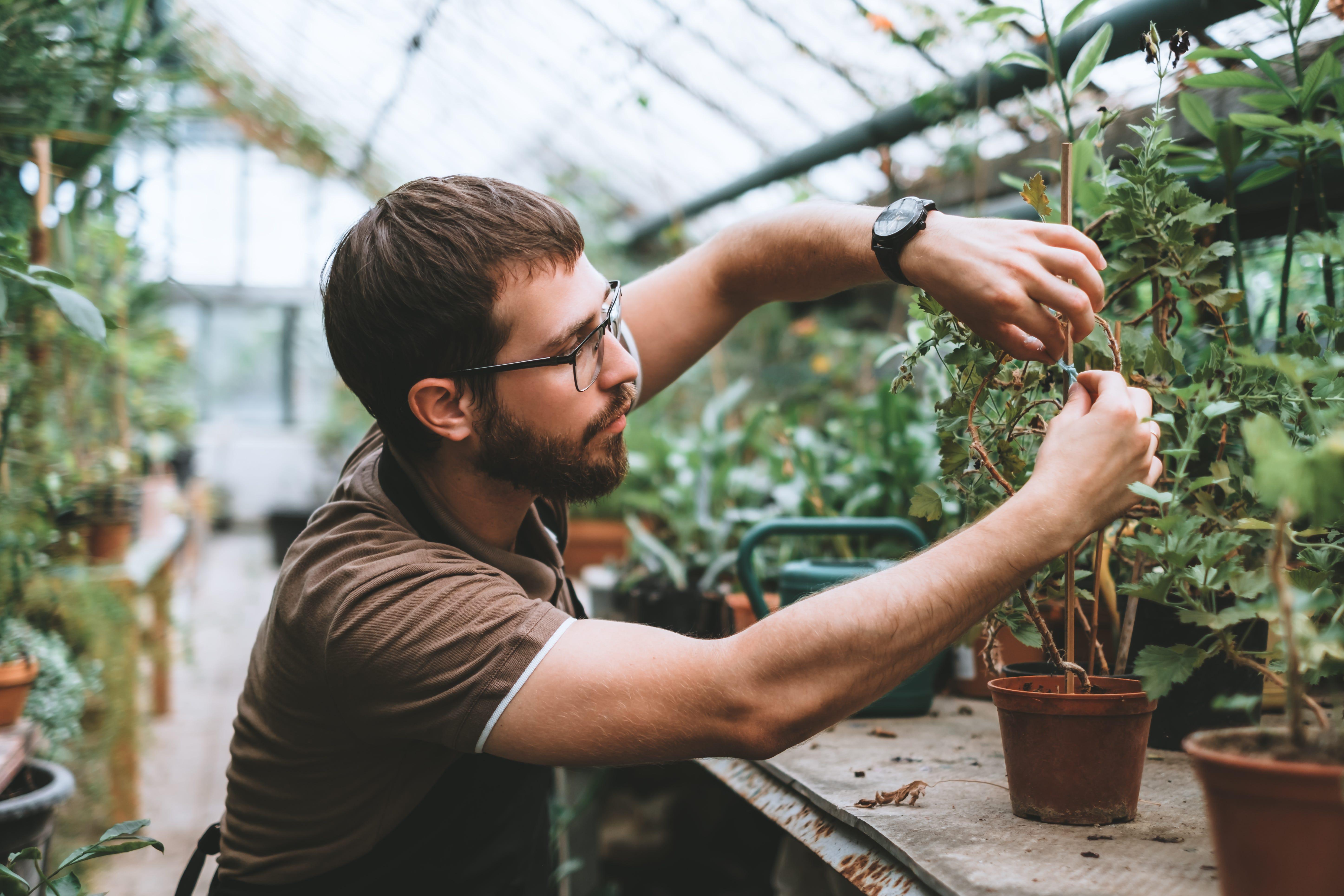10 lecciones que aprendí de las plantas…
