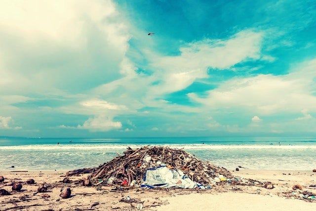 Foto de Artem Beliaikin en Pexels