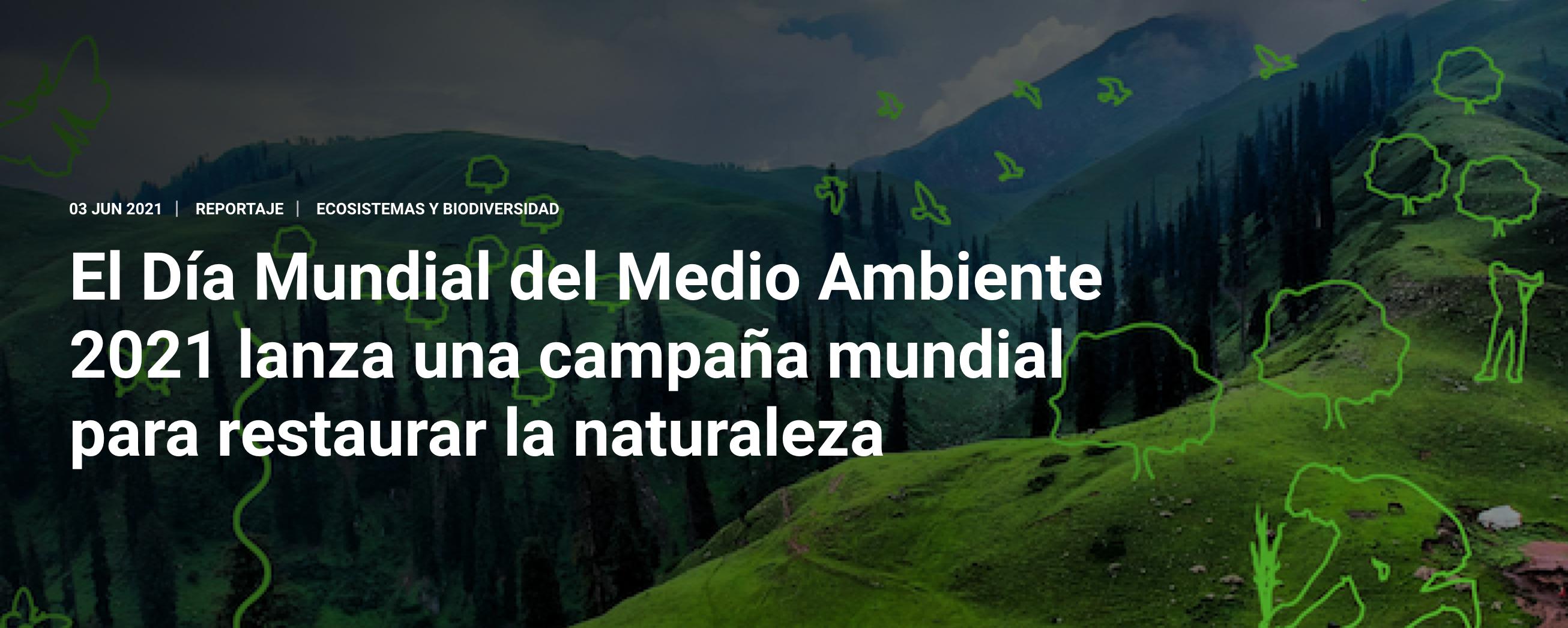 Imagen de https://cutt.ly/rnc0iRn