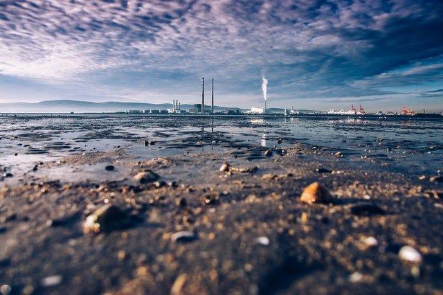 Foto de Lucian Petronel Potlog en Pexels