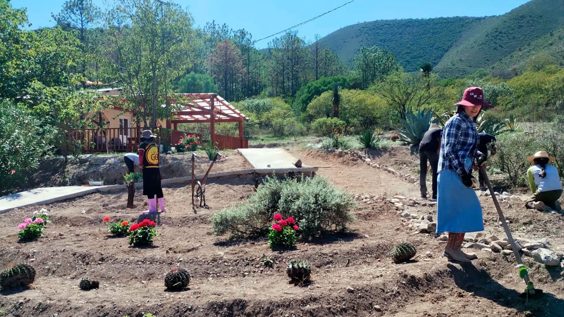 Jardín del CMS durante el momento de siembra de ochenta plantas. Fotografías por: Escuela Preparatoria ICF.