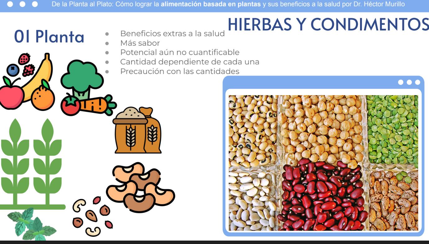 Captura de la presentación.