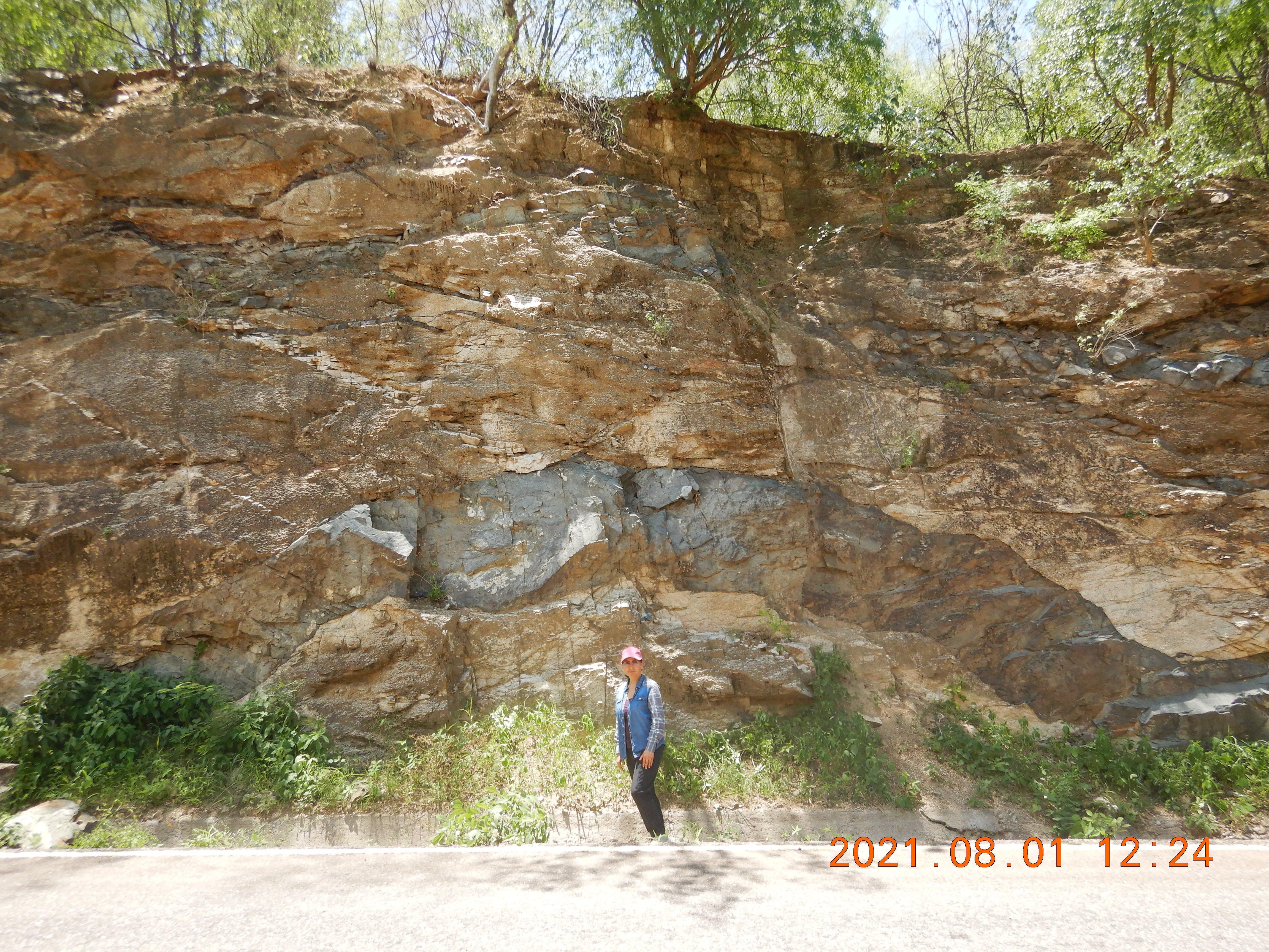 En una zona de diques máficos, cerca de Tepoca, Sonora.