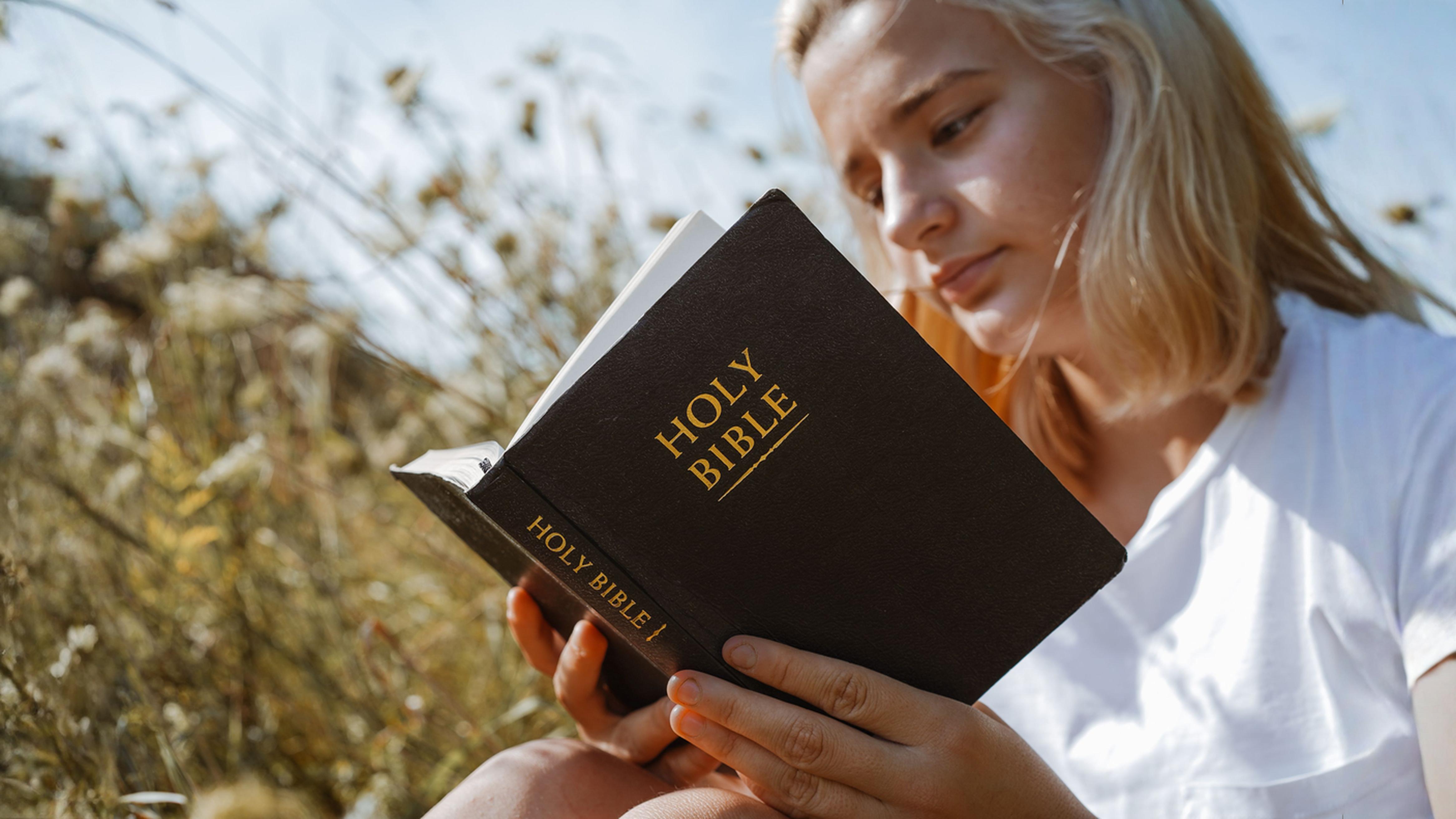 Qué dice Salmos 43 sobre el juicio de Dios y la justicia