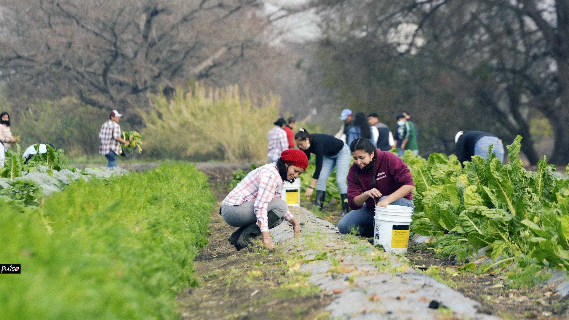 Portada de Hacienda La Carlota marca una nueva etapa para la Universidad de Montemorelos