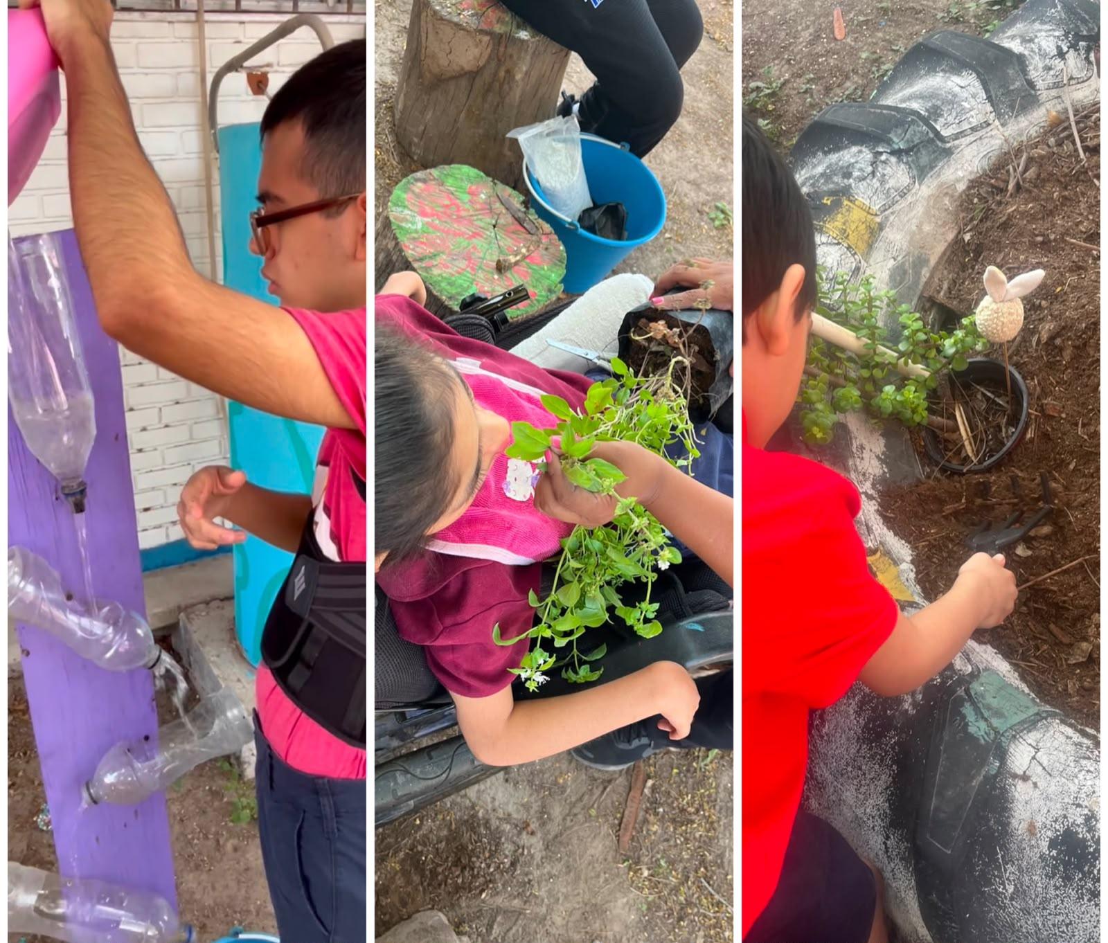 Alumnos de CAM realizando diversas actividades en el jardín sensorial. Fotografía cortesía de Claudia Figueroa.